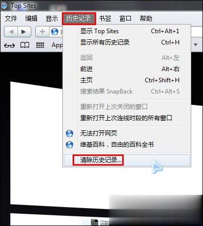 浏览器缓存怎么清理 各类浏览器缓存清理方法合集(29)