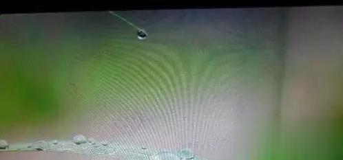 电脑显示器画面花屏一直抖动的五种修复方法