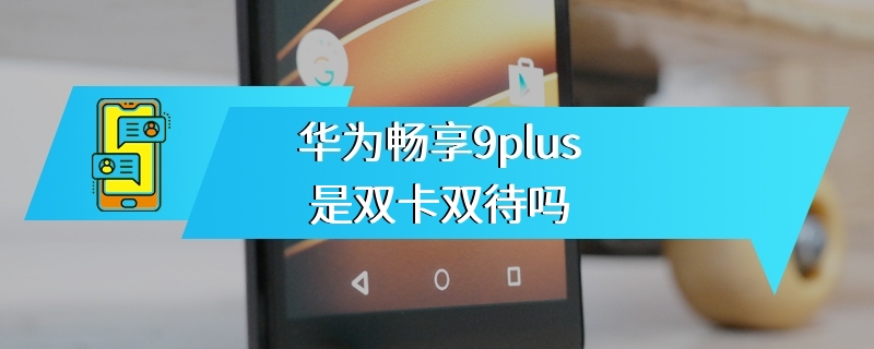 华为畅享9plus是双卡双待吗