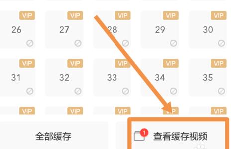 爱奇艺视频怎么下载(5)
