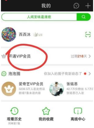 怎么开通爱奇艺会员(2)