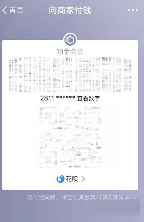 支付宝怎么用花呗付款(3)