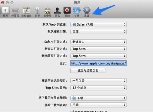 safari里高级设置字体(1)