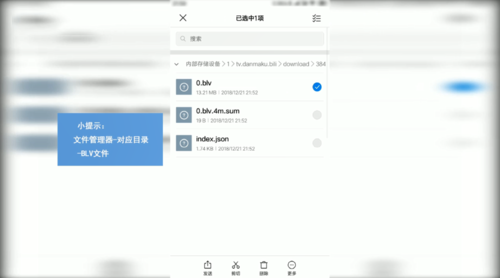 哔哩哔哩如何下载视频(1)