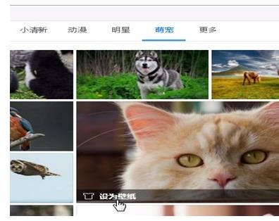 版360极速浏览器，壁纸存在哪个文件夹(1)