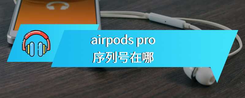 airpods pro序列号在哪