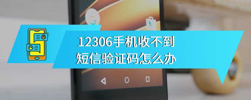 12306手机收不到短信验证码怎么办