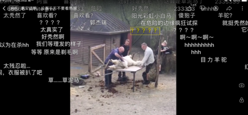哔哩哔哩彩色弹幕怎么发(5)
