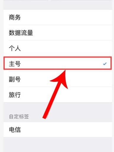 苹果11如何切换主副号打电话(6)