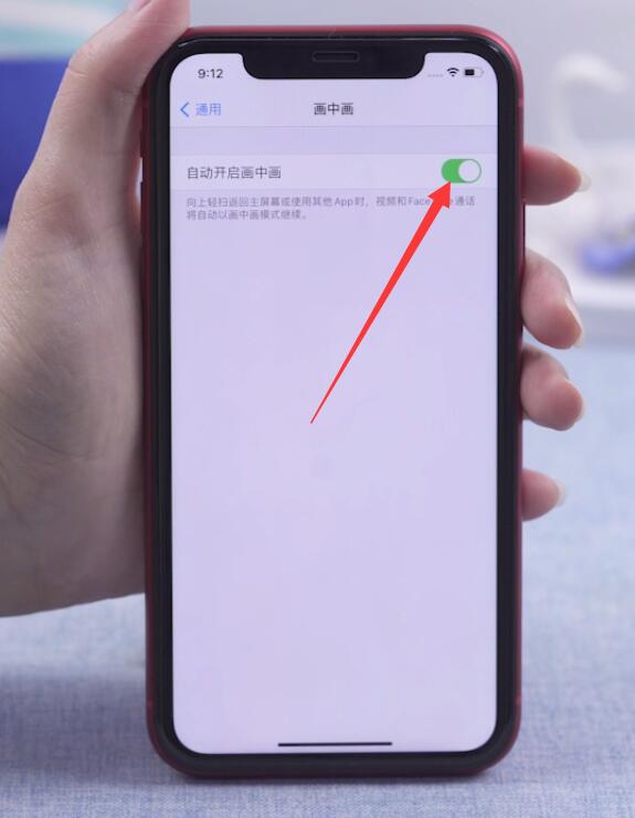 苹果怎么开双应用(3)