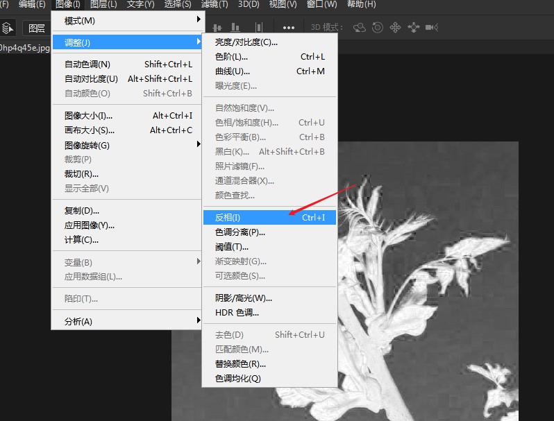 ps中通道抠图的步骤(2)