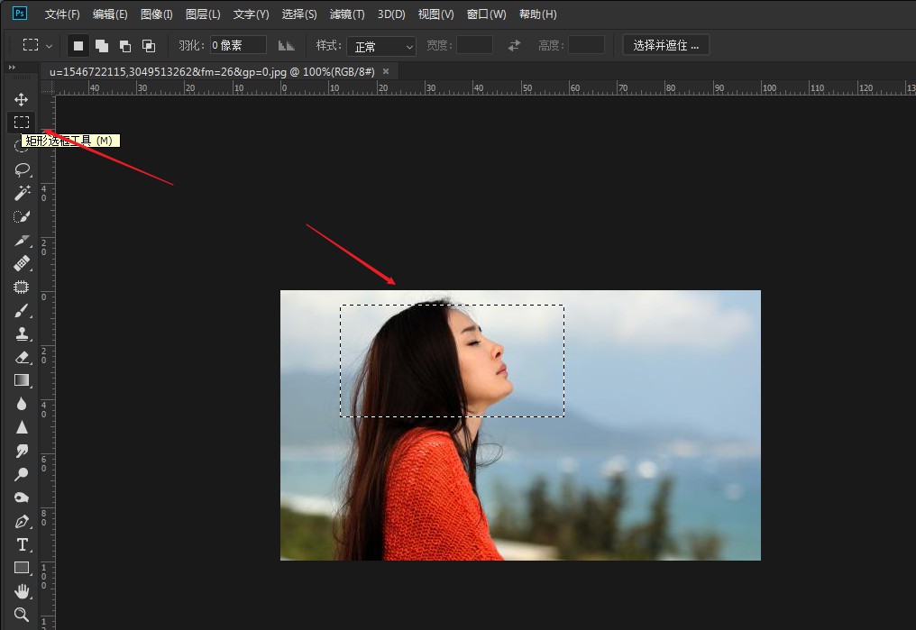 ps如何给图片打马赛克(2)