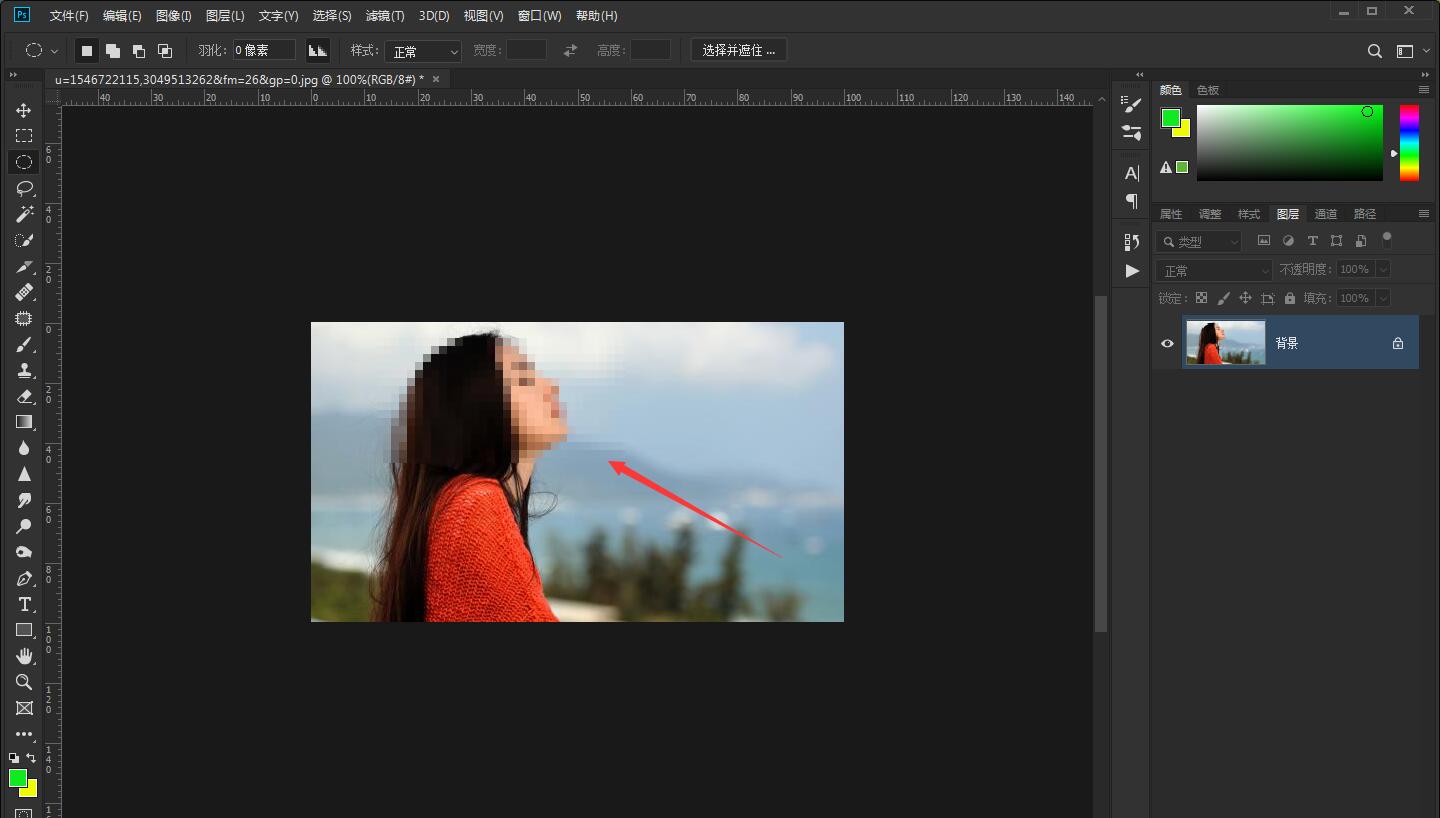 ps如何给图片打马赛克(5)