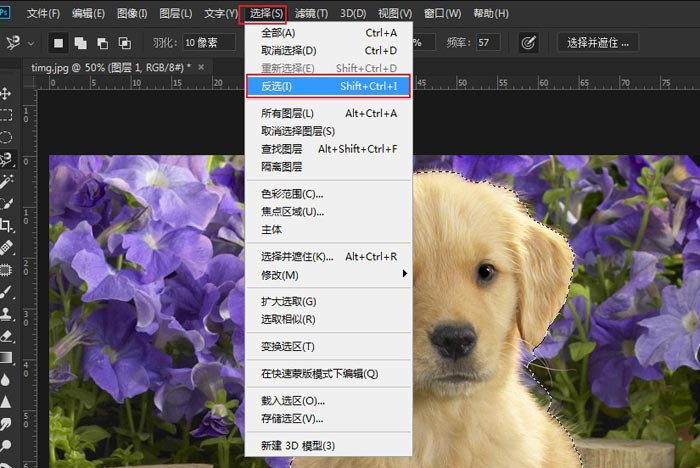 ps中如何让背景模糊(5)