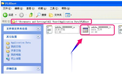 cad2010一打开就闪退怎么解决 2010cad安装好了打开闪退处理方法(3)