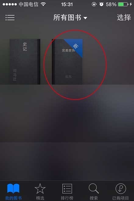 苹果epub怎么打开手机(6)