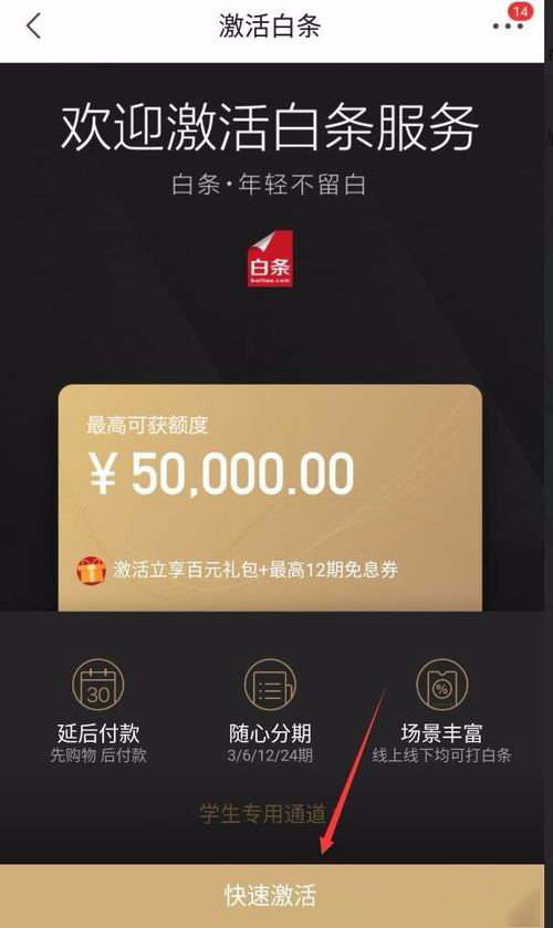 怎么开通京东白条(2)