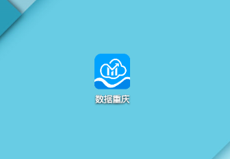 数据重庆