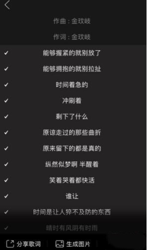 手机网易云音乐歌词怎么下载(2)
