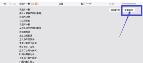 如何导出网易云音乐歌词(4)