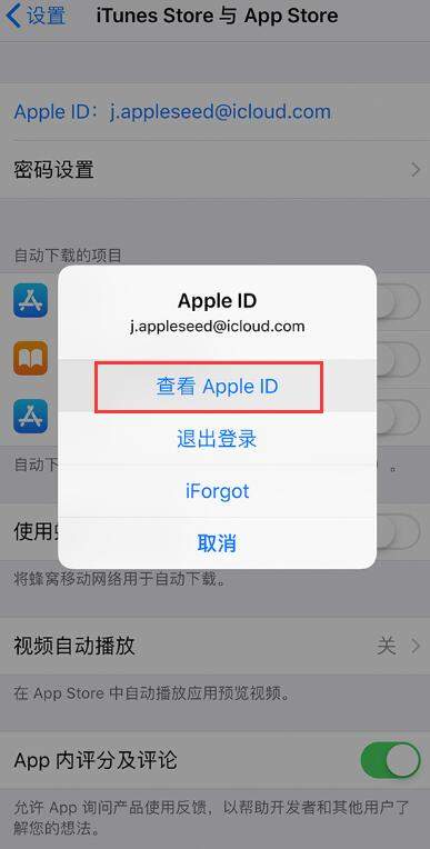 苹果xr软件下载怎么显示英文(1)