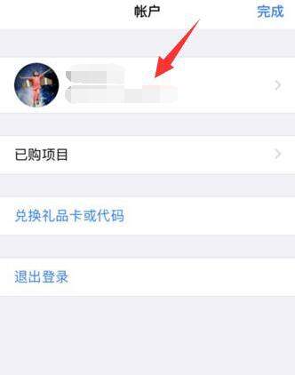 苹果xr软件下载怎么显示英文(2)