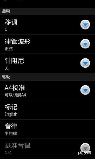专业调音器(1)
