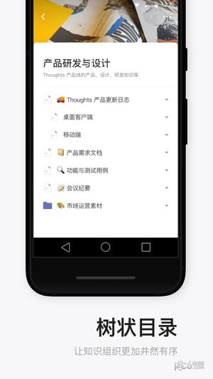 所思(1)