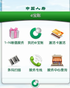 中国人寿e宝账(2)