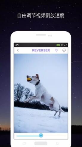 视频倒放软件下载视频倒放 安卓版v2.1