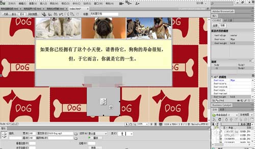 dreamweaver cs6 绿色版 12.0.0.5808 中文精简版