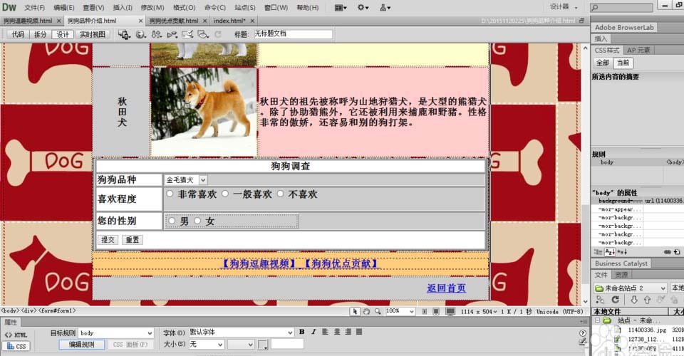 dreamweaver cs6 绿色版 12.0.0.5808 中文精简版