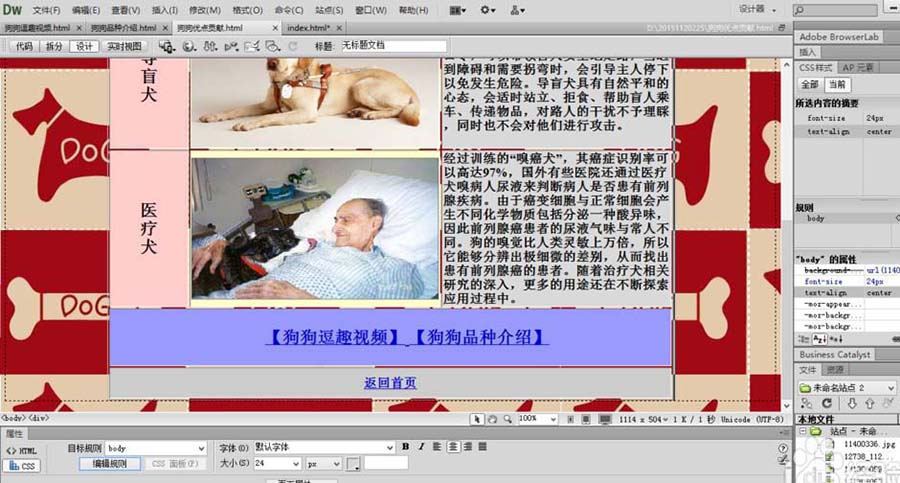 dreamweaver cs6 绿色版 12.0.0.5808 中文精简版