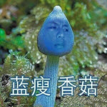 蓝瘦香菇(难受,想哭)表情包 完整版