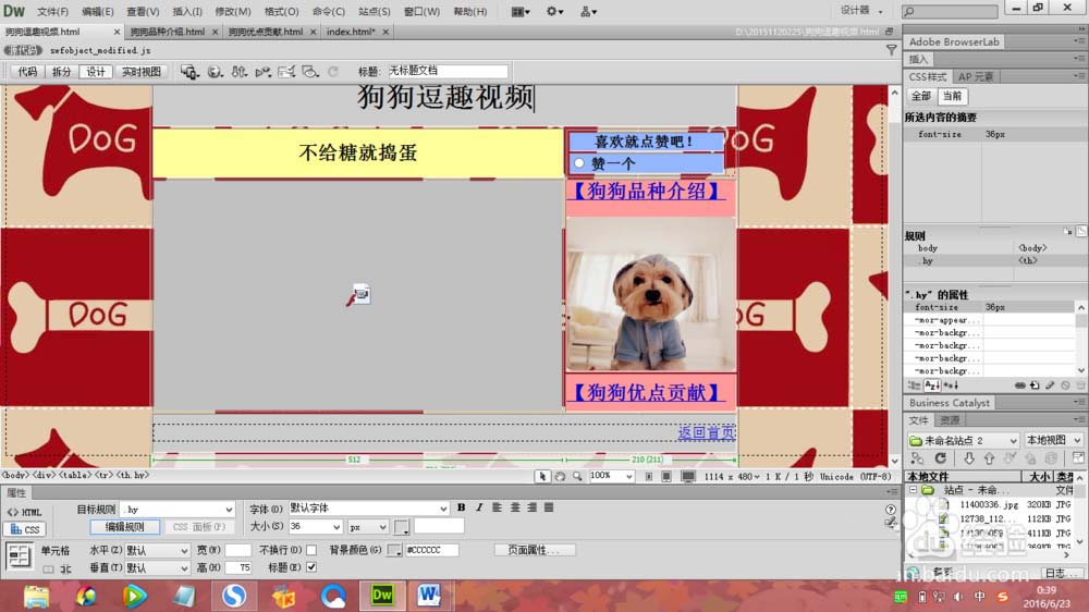 dreamweaver cs6 绿色版 12.0.0.5808 中文精简版