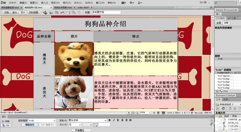 dreamweaver cs6 绿色版 12.0.0.5808 中文精简版