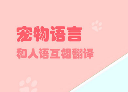 猫狗翻译器