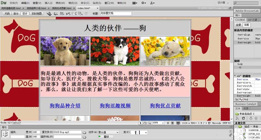 dreamweaver cs6 绿色版 12.0.0.5808 中文精简版