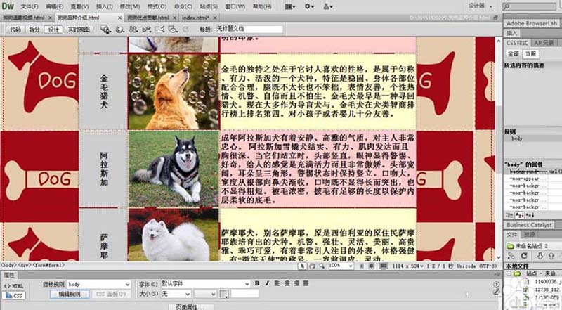 dreamweaver cs6 绿色版 12.0.0.5808 中文精简版