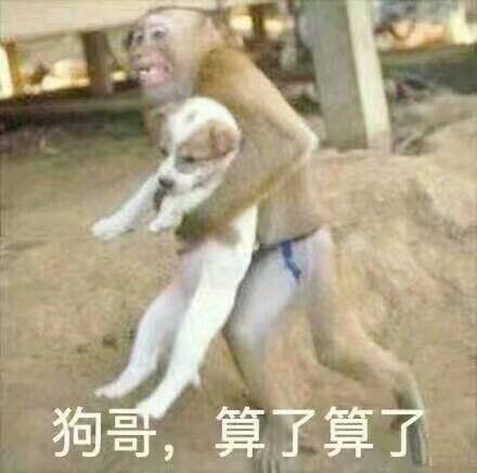 鸡哥算了算了表情包【完整版】