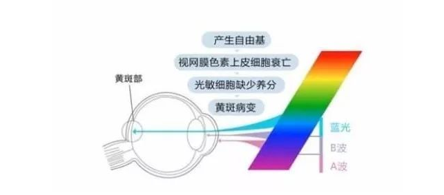 oled(1)