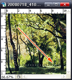 Photoshop CS5(5)