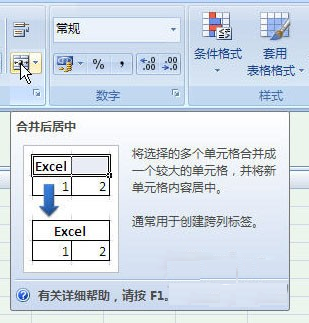 Excel 2007(4)