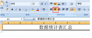 Excel 2007(11)
