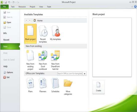 Microsoft Project(11)