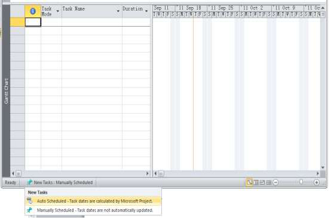Microsoft Project(12)