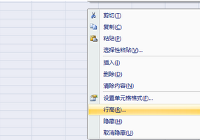 Excel 2007(8)