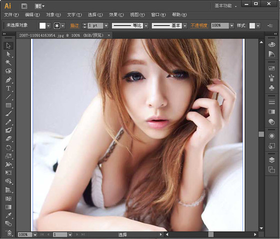 Adobe Illustrator CS6 中文版