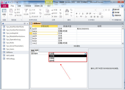 Access2007(1)