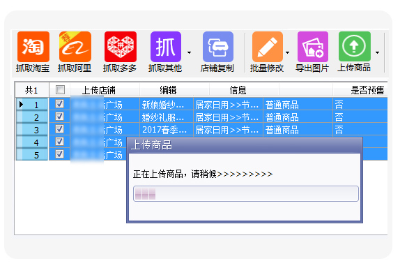 拼多多上货助理(13)